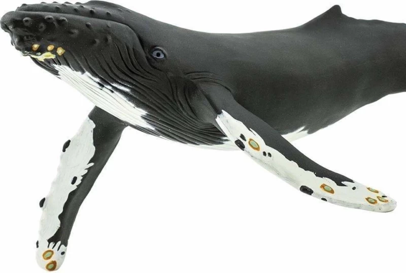 Bultrug (Serie Monterey Bay Aquarium) S210002 1 Bultrug (Serie Monterey Bay Aquarium) S210002