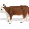 Hereford Koe Safari 160029