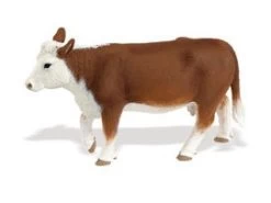 Hereford Koe Safari 160029