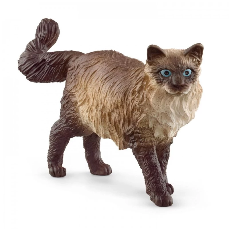 Ragdoll Kat - Schleich 13940 1 Ragdoll Kat - Schleich 13940