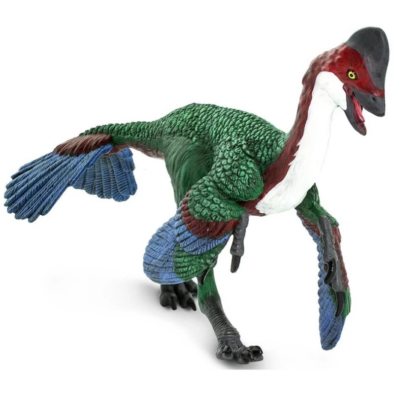 Anzu Wyliei Safari 100151 2 Anzu Wyliei Safari 100151 - Afbeelding 2