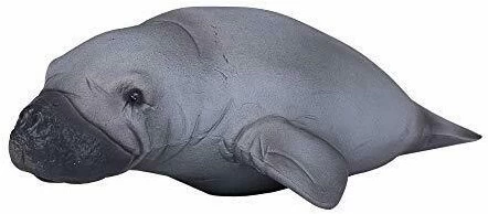 Lamantijn Mojo 387211 1 Lamantijn Mojo 387211