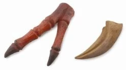 Handklauw Replica T-Rex CollectA 89289