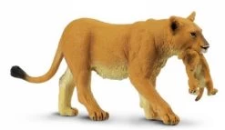 Leeuwin Met Jong S225229