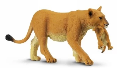 Leeuwin Met Jong S225229 1 Leeuwin Met Jong S225229