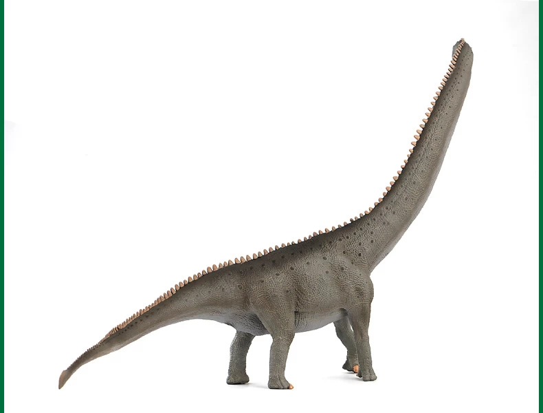 Mamenchisaurus "deluxe" CollectA 88908 2 Mamenchisaurus "deluxe" CollectA 88908 - Afbeelding 2