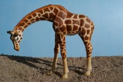 Giraffe Bullyland 63668 -Dierenmodel Speelgoed Winkel d63d464d7e2d3d70b700a9ddae234c82ed81f9a7