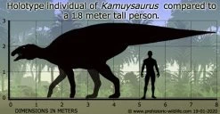 Dierenmodel Speelgoed Winkel -Dierenmodel Speelgoed Winkel d6e33a784277f5b5904100ad7cc2122a037327d9