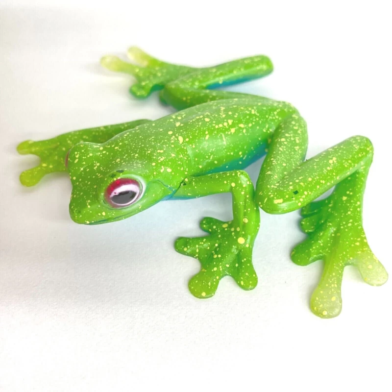 Ankafana Bright-eyed Frog Colorata 5 Ankafana Bright-eyed Frog Colorata - Afbeelding 5