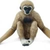 Gibbon S228329