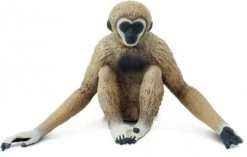 Gibbon S228329