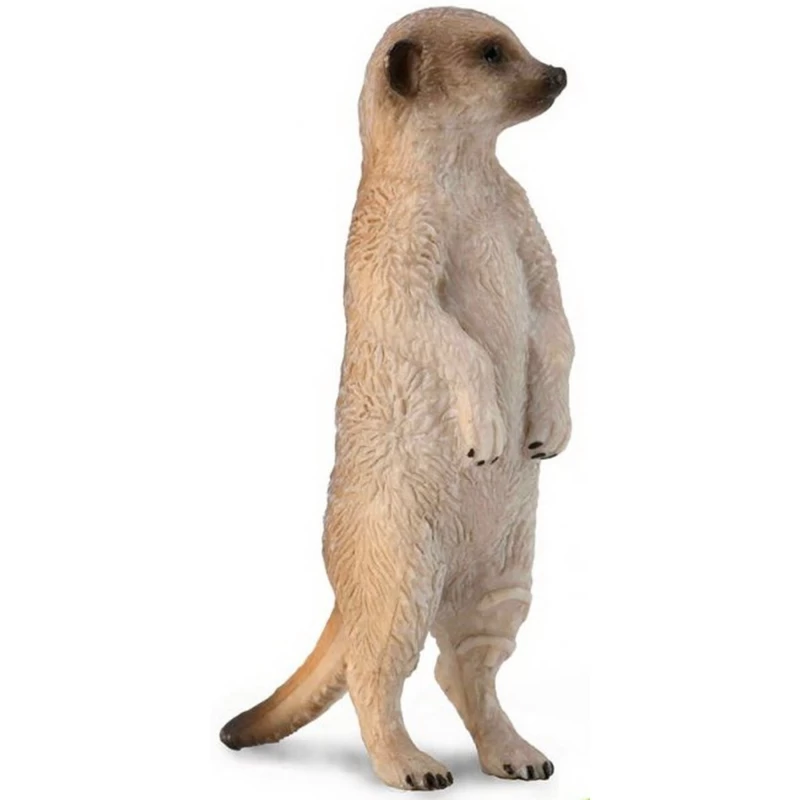 Meerkat / Stokstaartje CollectA 88913 1 Meerkat / Stokstaartje CollectA 88913