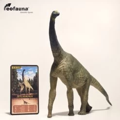 Atlasaurus EoFauna -Dierenmodel Speelgoed Winkel d9a47653e4e531faed2ce0e42eb3ee7a7cbf4850