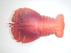 Beerkreeft (Scyllaridae) Rood