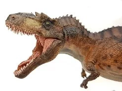 Gorgosaurus Papo 55074 -Dierenmodel Speelgoed Winkel daa6077d4b09bb4a29d8f216dacfd8fd45ee3005