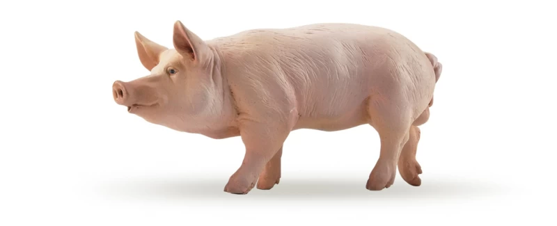 Varken Beer Papo 51044 1 Varken Beer Papo 51044