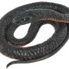 Red-bellied Black Snake