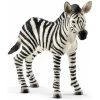 Zebra Jong Schleich 14811