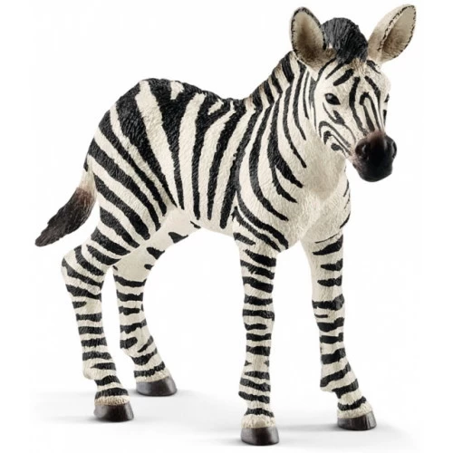 Zebra Jong Schleich 14811 1 Zebra Jong Schleich 14811