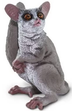 Galago (Bush Baby) S100511