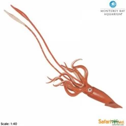 Reuzeninktvis S212302