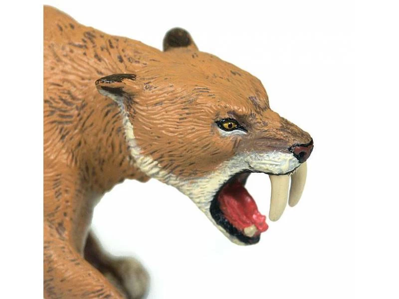 Smilodon Sabeltandtijger Papo 55022 4 Smilodon Sabeltandtijger Papo 55022 - Afbeelding 4