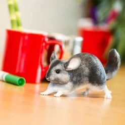 Chinchilla S100075 -Dierenmodel Speelgoed Winkel e7556ffb19aa2d0ede34a68cd3881eef7e19ef8a