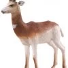 Dama Gazelle CollectA 88865