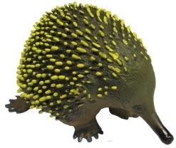 Mierenegel (Echidna) 75456 Groot