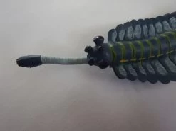 Opabinia Regalis -Dierenmodel Speelgoed Winkel e8aa8808a4f166467f12e2d8017324f6ac1ec12a