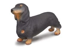 Teckel (Dachshund) CollectA 88185