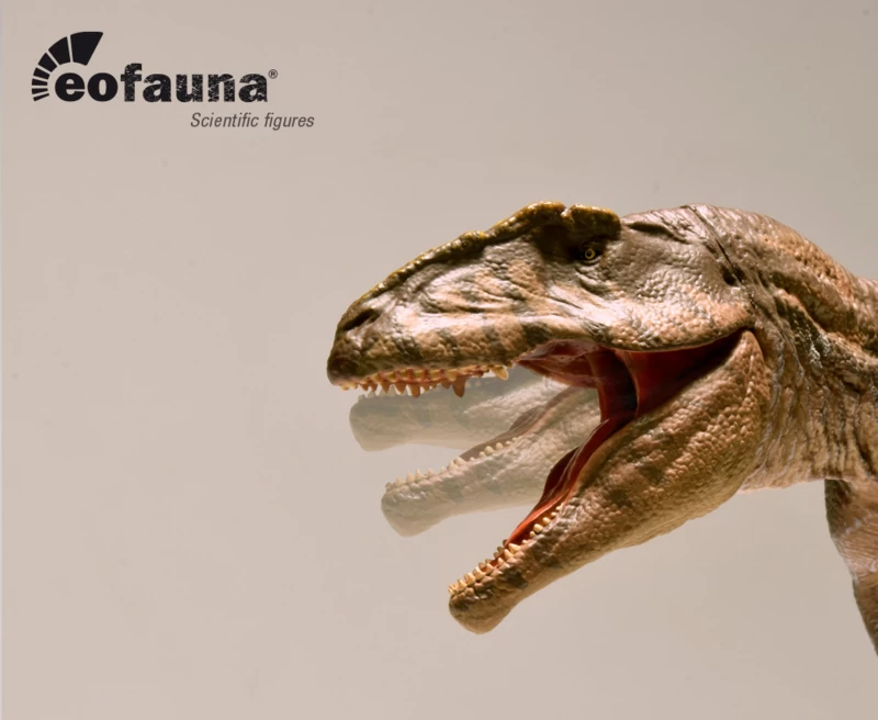 Giganotosaurus Carolinii Eofauna 3 Giganotosaurus Carolinii Eofauna - Afbeelding 3