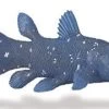 Coelacanth S285729
