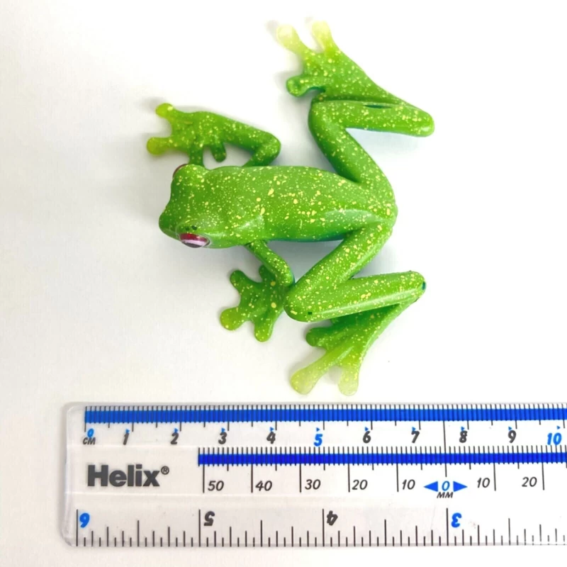 Ankafana Bright-eyed Frog Colorata 4 Ankafana Bright-eyed Frog Colorata - Afbeelding 4