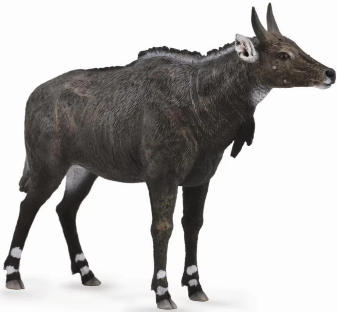 Nijlgau Nilgai CollectA 88764 2 Nijlgau Nilgai CollectA 88764 - Afbeelding 2