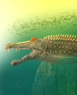 Dierenmodel Speelgoed Winkel -Dierenmodel Speelgoed Winkel f21a11a78d3de5bfdad81c0cf8d80227e961b41a