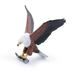 Afrikaanse Visarend Papo 50282