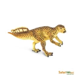 Psittacosaurus Safari 304229