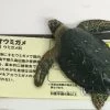 Green Turtle (Kaiyodo)