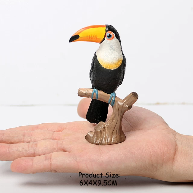 Toekan Toecan Op Tak 1 Toekan Toecan Op Tak