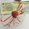 Japanese Spider Crab