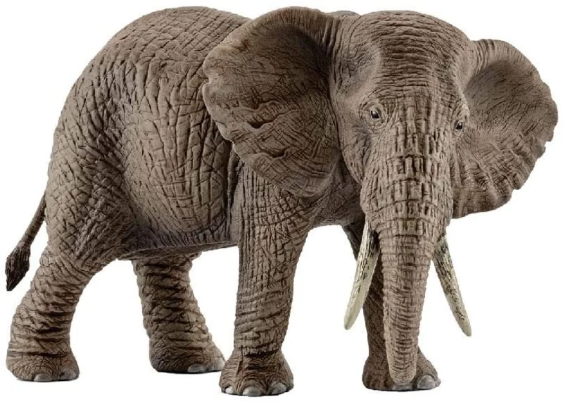 Olifant Afrikaanse Vrouwtje Schleich 14761 1 Olifant Afrikaanse Vrouwtje Schleich 14761