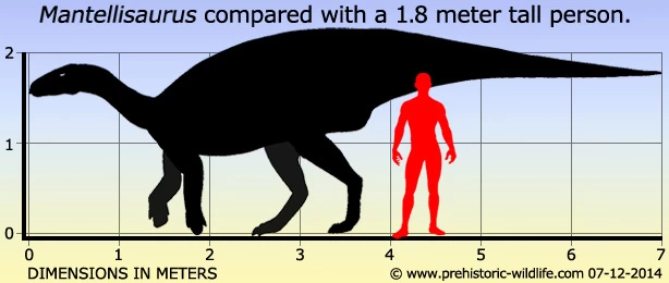 Mantellisaurus Drinking CollectA 88810 3 Mantellisaurus Drinking CollectA 88810 - Afbeelding 3